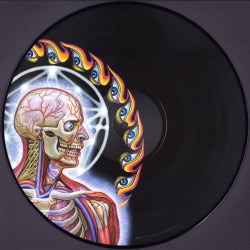 Tool - Lateralus Resimli Plak (Picture Disc) 2 LP
