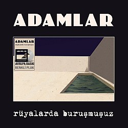 Adamlar - Rüyalarda Buruşmuşuz (Gümüş Renkli) Plak LP