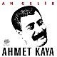 Ahmet Kaya - An Gelir Plak LP