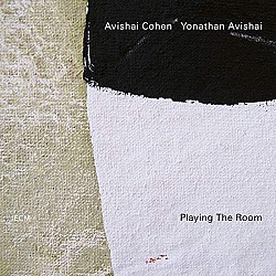 Avishai Cohen - Playing The Room Plak LP