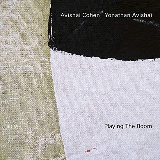 Avishai Cohen - Playing The Room Plak LP