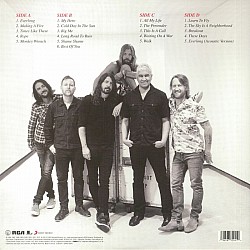 Foo Fighters - The Essential Plak 2 LP