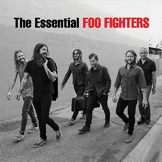 Foo Fighters - The Essential Plak 2 LP