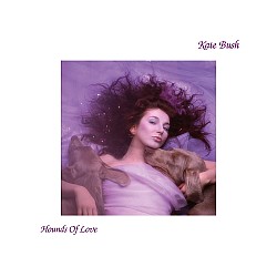 Kate Bush - Hounds Of Love Plak LP