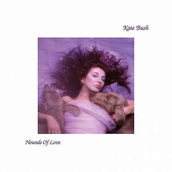 Kate Bush - Hounds Of Love Plak LP