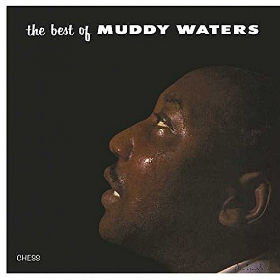 Muddy Waters - The Best Of Muddy Waters Plak LP