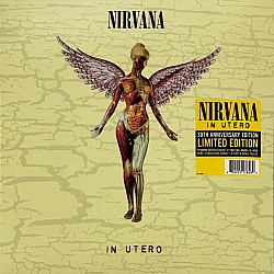 Nirvana - In Utero (30th Anniversary) Plak 2 LP