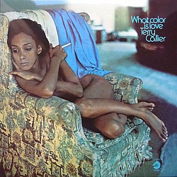Terry Callier -  What Color Is Love Caz Plak LP