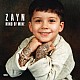 ZAYN - Mind Of Mine (Deluxe Edition) Plak 2 LP