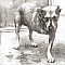 Alice In Chains - Alice In Chains CD