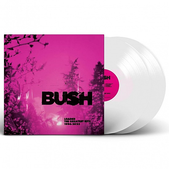 Bush - The Greatest Hits Renkli Plak 2 LP