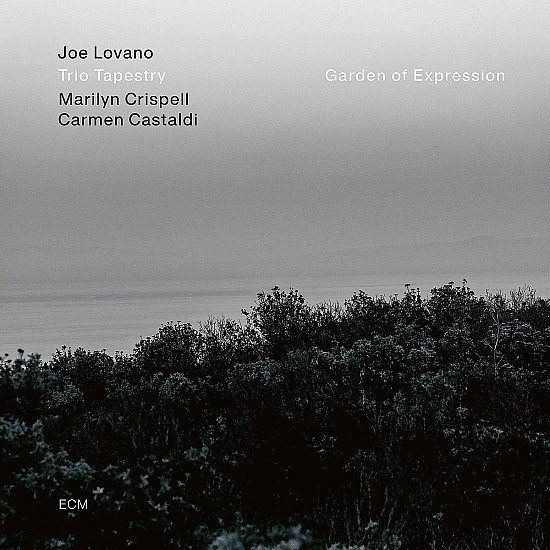 Joe Lovano - Garden Of Expression Plak LP