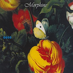Morphine - Good Plak LP