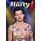 Harry Styles 2025 A3 Duvar Takvimi