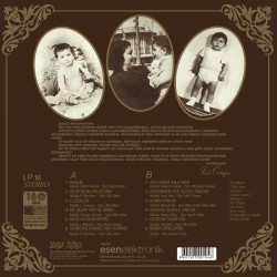 Ferdi Özbeğen - Seviyorum Delicesine Plak LP