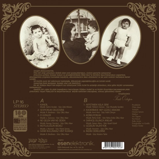 Ferdi Özbeğen - Seviyorum Delicesine Plak LP