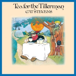 Cat Stevens ‎- Tea for the Tillerman (50. Yıl Özel) Plak LP