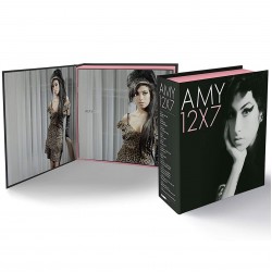Amy Winehouse - The Singles Collection 12x7 45lik Plak Box Set