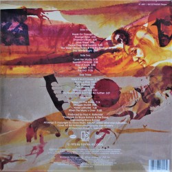 The Doors - Weird Scenes Inside The Gold Mine Plak 2 LP
