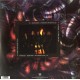 Iced Earth - Iced Earth 30. Yıl Plak LP