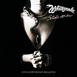 Whitesnake - Slide It In Plak 2 LP