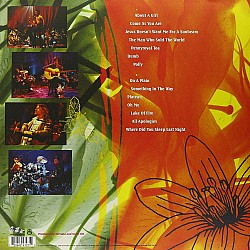 Nirvana - MTV Unplugged In New York Plak LP