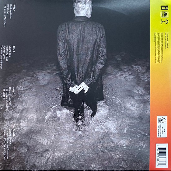 Sting - The Bridge (Deluxe) Plak 2 LP