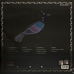 Düş Sokağı Sakinleri - En Güzel Düşler Plak 2 LP