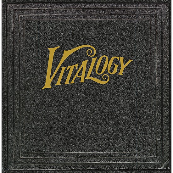 Pearl Jam - Vitalogy Plak 2 LP