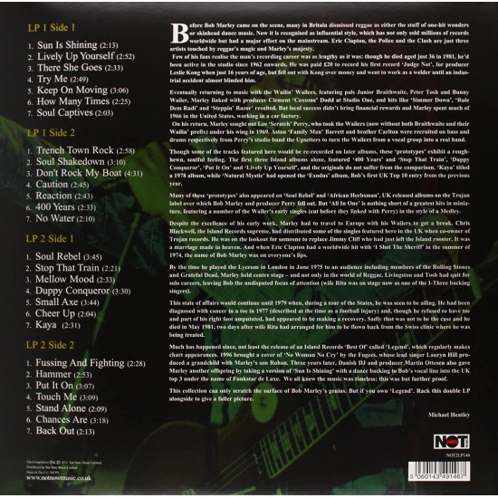 Bob Marley And The Wailers - A Legend Reggae Classics (Sarı Renkli) Plak 2 LP