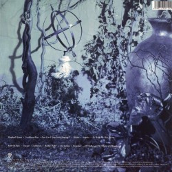 Enya - Shepherd Moons Plak LP