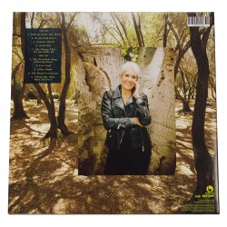Joan Baez - Whistle Down The Wind Plak LP