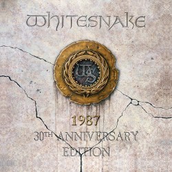 Whitesnake – 1987 Plak 2 LP