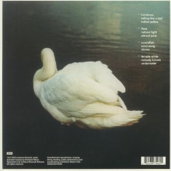 Ludovico Einaudi - Underwater (Mavi Renkli) Plak 2 LP
