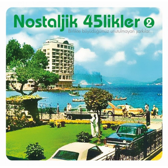 Nostaljik 45'likler 2 Plak LP