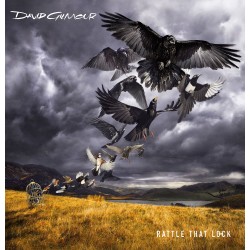 David Gilmour - Rattle That Lock Deluxe Edition CD + DVD Box Set 
