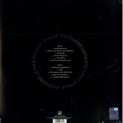 Dark Tranquillity - The Gallery Plak LP