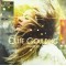 Ellie Goulding – Lights 10 Plak 2 LP