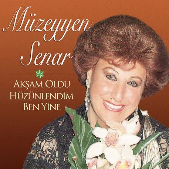 Müzeyyen Senar - Akşam Oldu Hüzünlendim Ben Yine Plak LP