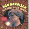 Van Morrison - Blowin' Your Mind! Plak LP