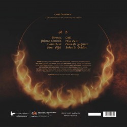 Whisky - Ateş Suyu 2.0 Plak LP