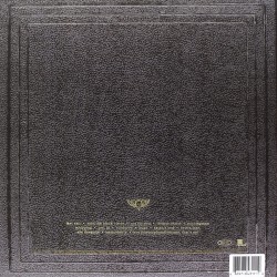 Pearl Jam - Vitalogy Plak 2 LP