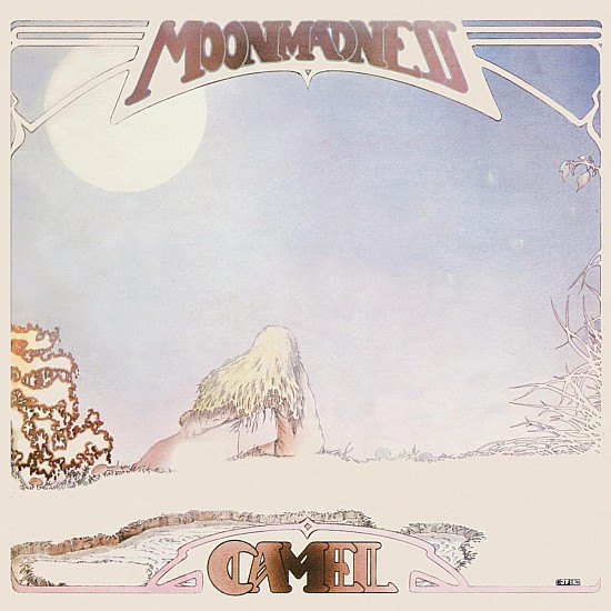 Camel - Moonmadness (2023 Remastered) Plak LP