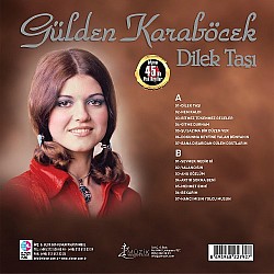 Gülden Karaböcek - Dilek Taşı Plak LP