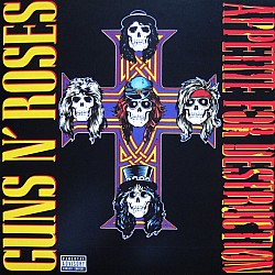 Guns N' Roses - Appetite For Destruction Plak LP