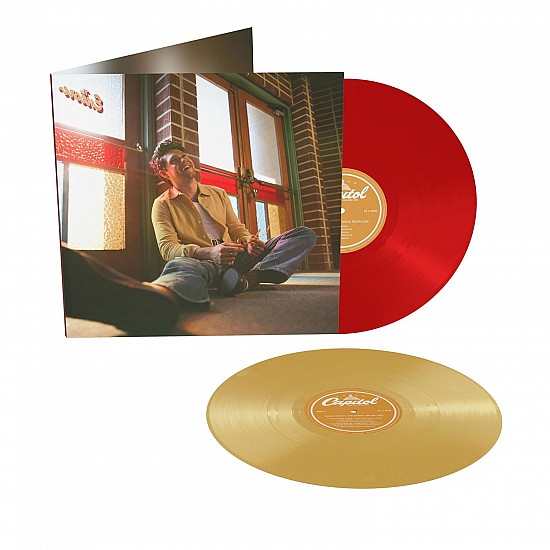 Niall Horan - The Show: Encore (Ruby & Tan Vinyl) Plak 2 LP