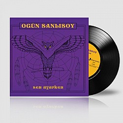 Ogün Sanlısoy - Sen Uyurken Plak LP