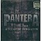 Pantera - 1990-2000: A Decade Of Domination (Siyah Buz Renk, Etched) Plak 2 LP