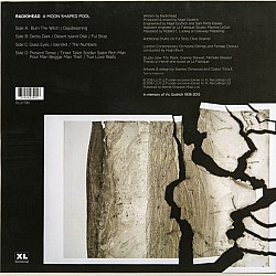 Radiohead - A Moon Shaped Pool Plak 2 LP