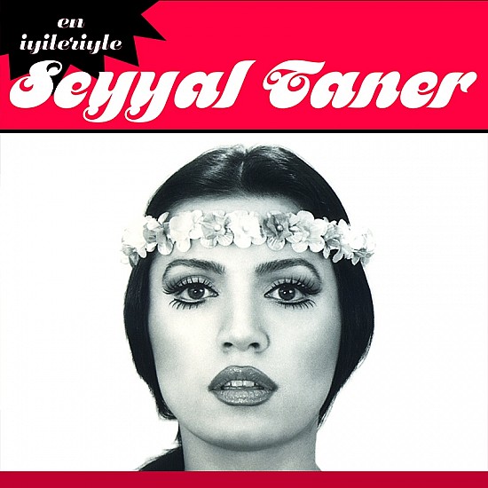 Seyyal Taner - En İyileriyle Seyyal Taner Plak LP